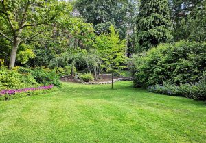 Optimiser l'expérience du jardin à Moules-et-Baucels